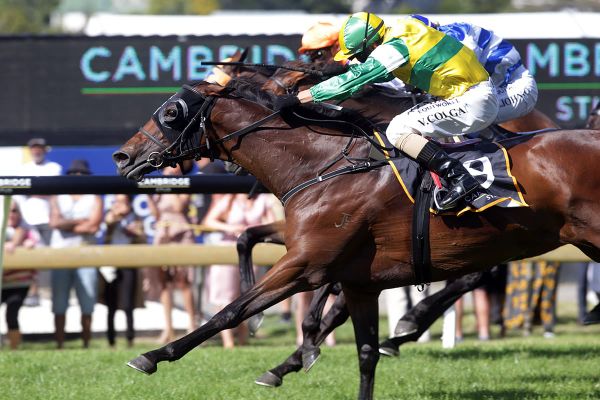 James farewells star mare, looks for big run from another