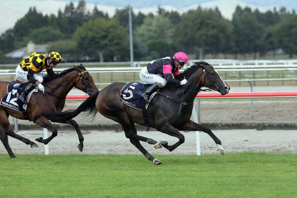 All roads lead to Te Aroha for Coventina Bay