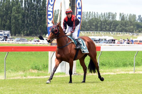 Carston trio Southland bound