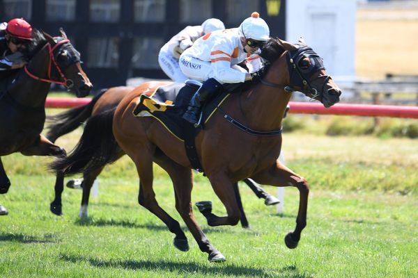 Benner and Wynyard double up at Tauherenikau