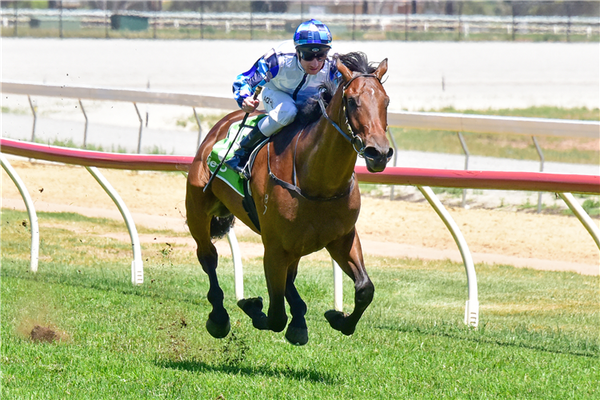 Tasmanian Derby won in Explosive fashion