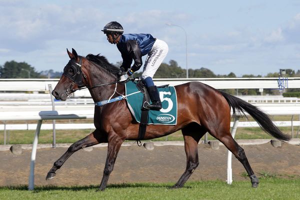 Il Affare to continue on Derby path