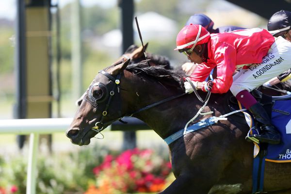 Justacanta gets deserved Ellerslie success