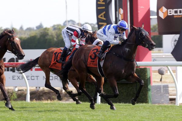 Les Crayeres provides pick me up for Kelso