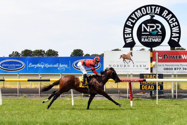 Cole ends wait for second stakes winner with Taranaki triumph