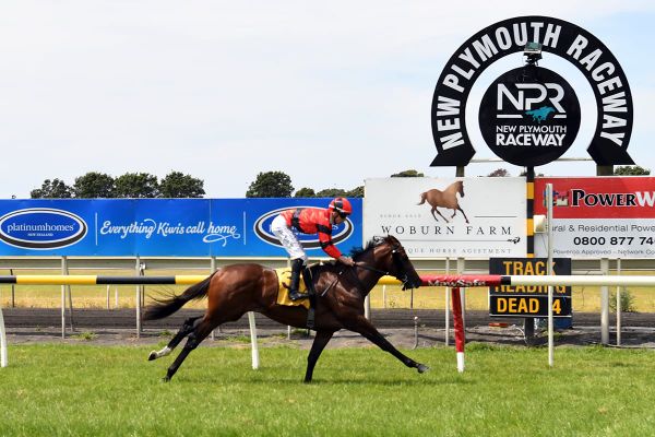 Magneto takes Taranaki two-year-old feature