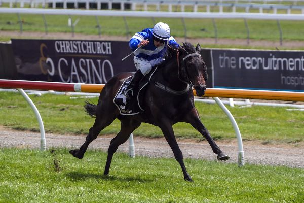 Kentucky comes to Wingatui