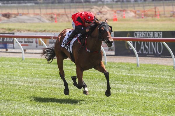 Northern features beckon promising juvenile