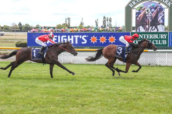 More ahead for impressive Riccarton winner