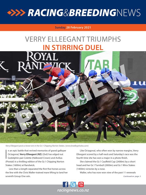 NZ Racing and Breeding News – 28 February 2021