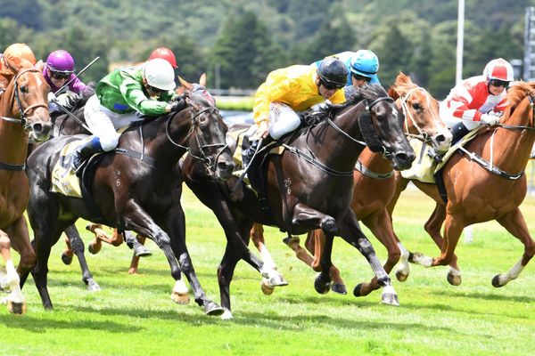 Bary back to his best