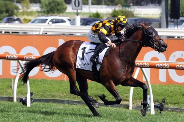 Probabeel faces star-studded line-up in Futurity