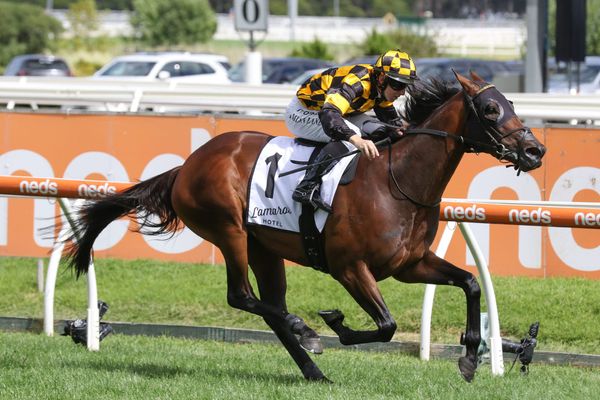 Brilliant return from Probabeel