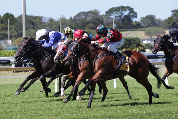Rocket Spade cements Derby claims with Avondale Guineas victory