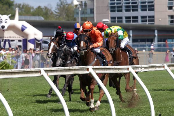 Royal Performer upsets in Group One feature