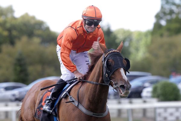 Riddell savours successful day at Te Rapa