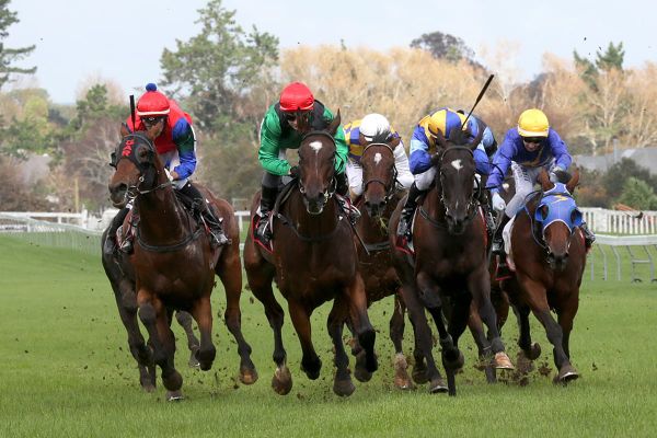 New Zealand Stakes Winner Tops Goffs February Sale