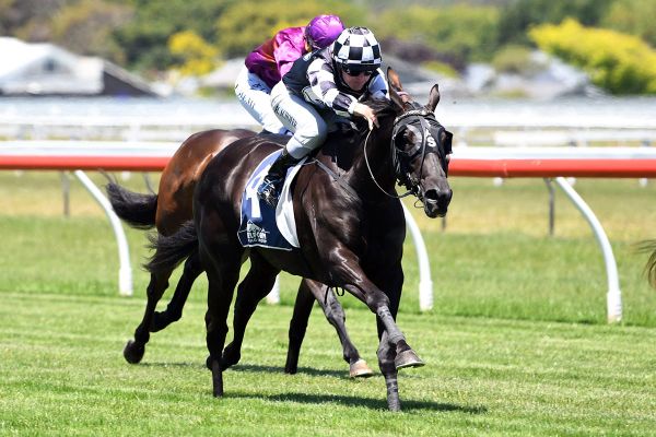 Sharrock fillies take home advantage into Oaks Prelude
