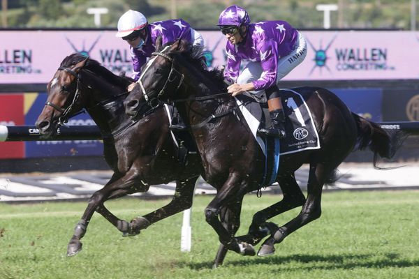 Sound reinforces Auckland Cup credentials