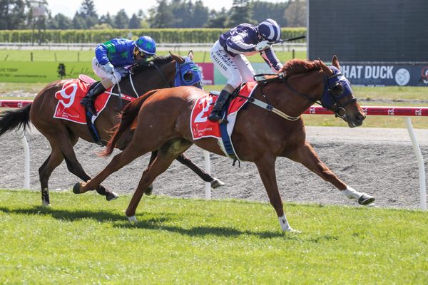 Southern Ocean riding the crest of a wave