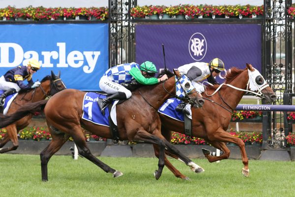 Star of the Seas secures All-Star Mile spot