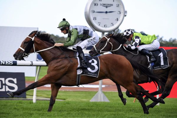 Wet track proves no barrier for Waller duo