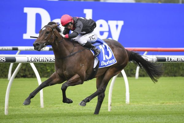 Slipper conundrum for Tilianam's owners