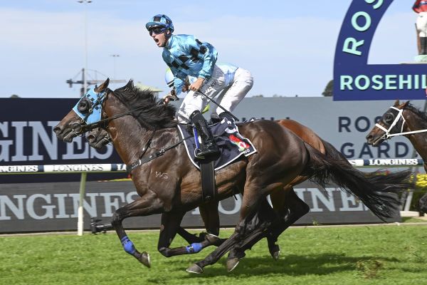 Mo’unga comes up trumps in Rosehill Guineas
