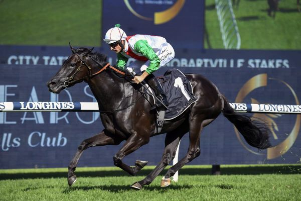 Aegon thriving ahead of Guineas