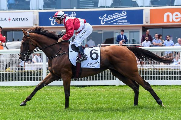 Arcadia Queen under All-Star cloud