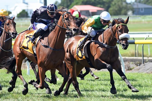 Mind over matter for Bergerson pair