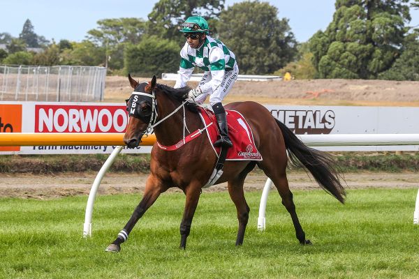 Belle Fascino in the spotlight as part of Marsh’s big Saturday