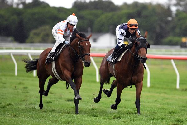 Benner-Wynyard pair on track for Guineas
