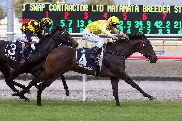 Group One opportunity knocks for Bonny Lass