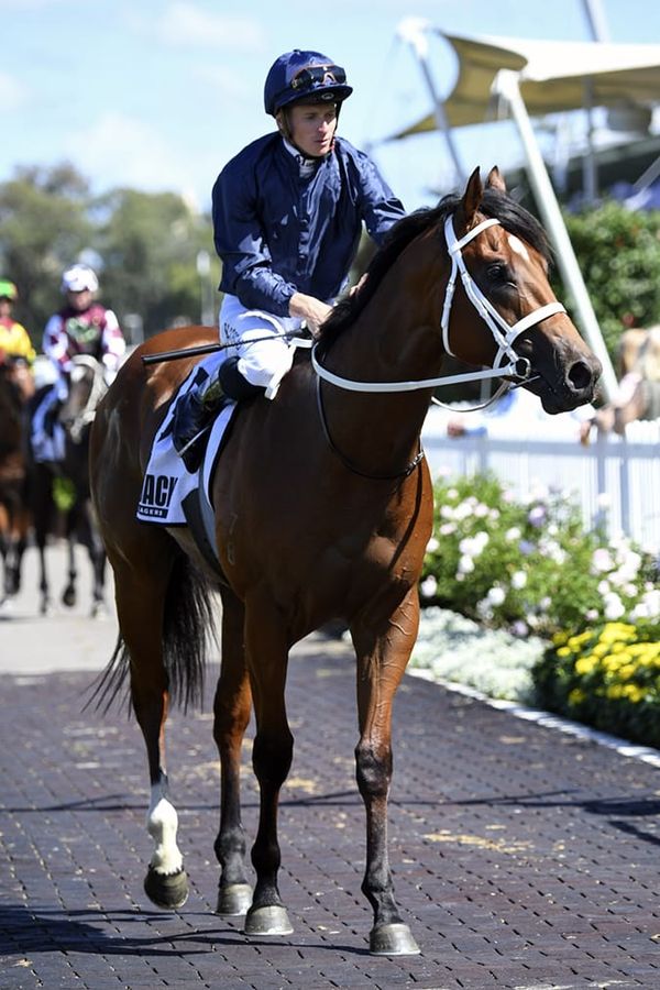 McDonald has sights on second Slipper win