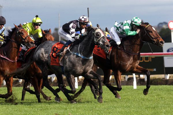 Search broadened for nominations for TAB Board