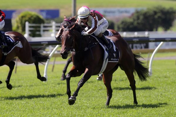 Travel restrictions to decide next target for Levante