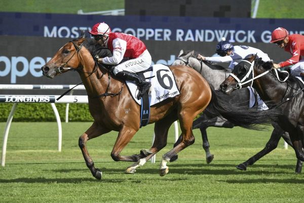 O’Shea hoping lightning can strike twice