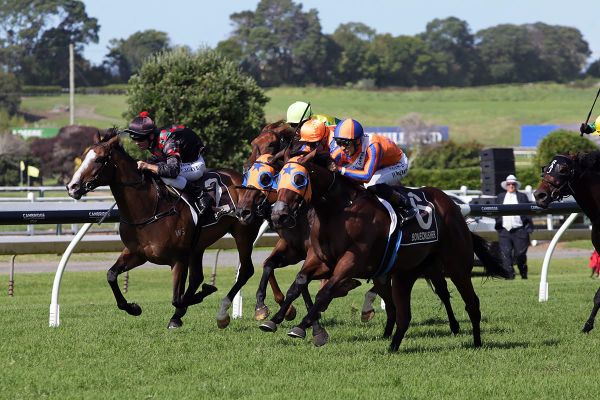 Melody Belle sets Group One record at Ellerslie