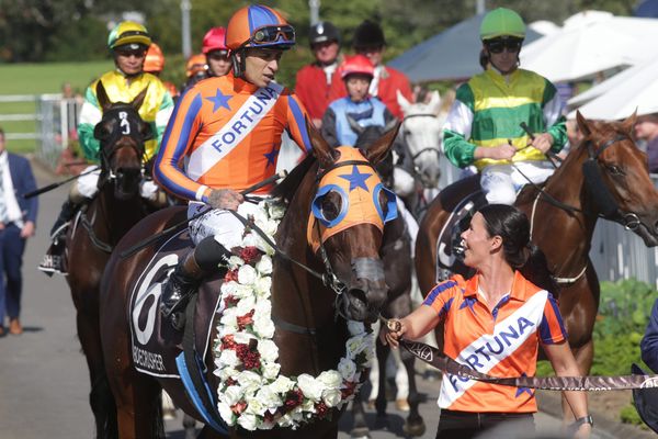 Staying test for Melody Belle