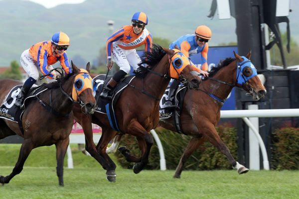 Richards favours Belle in glamour clash