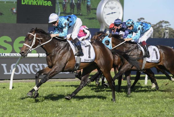 Mo’unga primed for Guineas