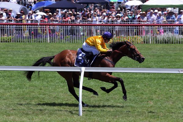 Needle And Thread hoping Oaks rivals get the stitch