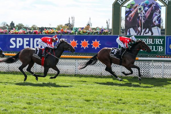 Pitman team hitting its straps ahead of lucrative Easter period