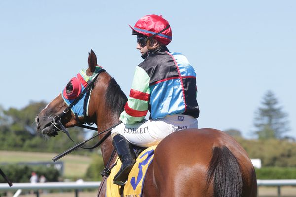 Late Derby contender to be On Display