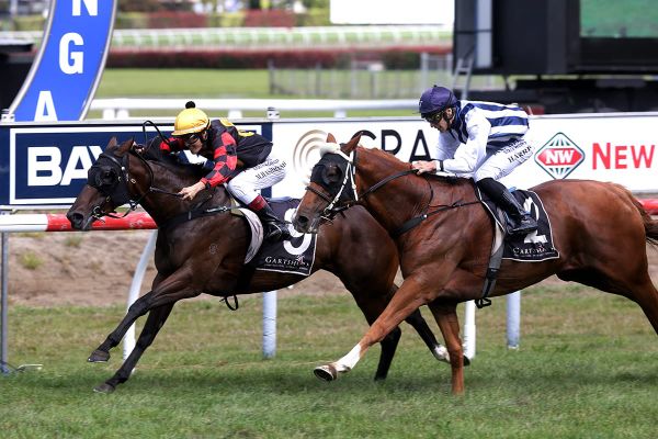 Hashizume making every post a winner