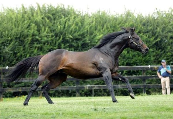 Proisir nomination up for grabs