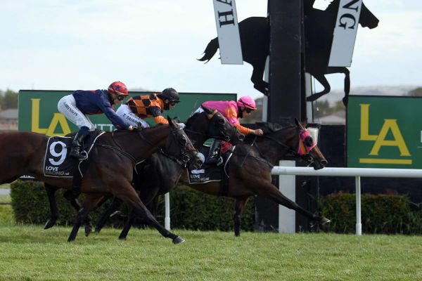 Pike’s Puysegur purring ahead of Lightning