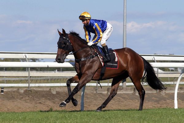 Pukekohe Treble for Tiley