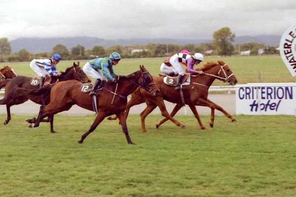 New home away from home for Marlborough Cup